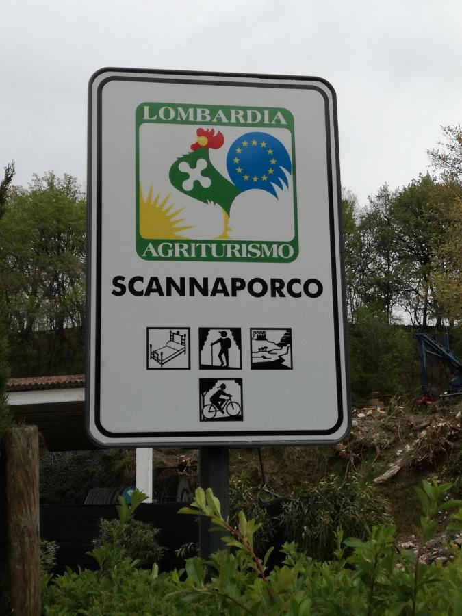 Agriturismo Scannaporco Cavriana Exterior photo